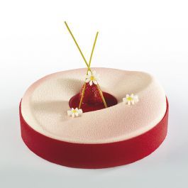 [PAV-KE003] MOLDE SILICONA TORTA PAVOCAKE KE003