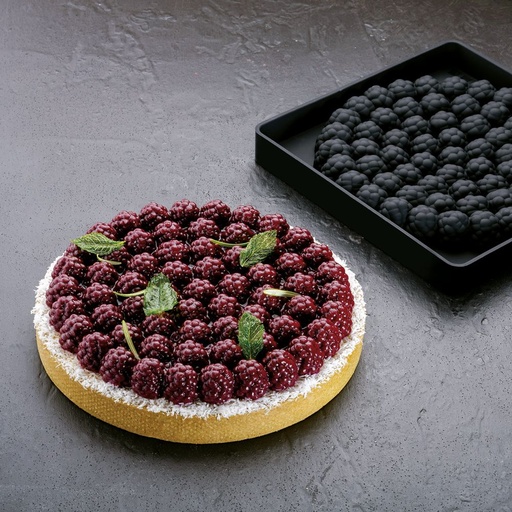 [PAV-TOP24] MOLDE SILICONA TORTA TOP24 BLACKBERRIES