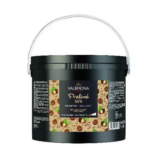 [VAL-7531] PRALINE AVELLANA 66% 5KG